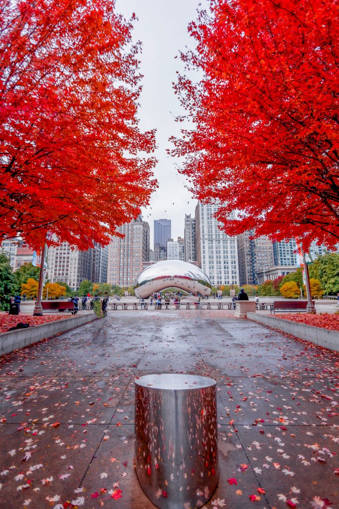 Where to See the Best Fall Foliage in Illinois